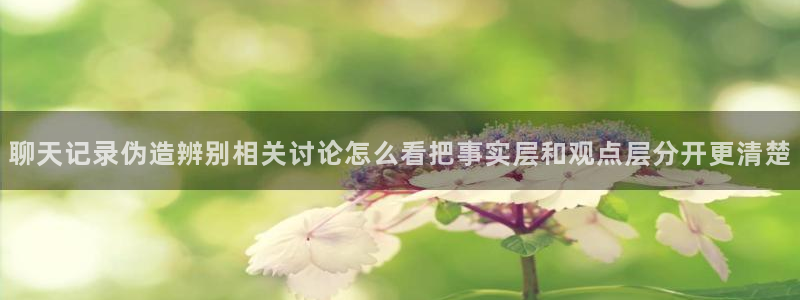 网络热点爆料网