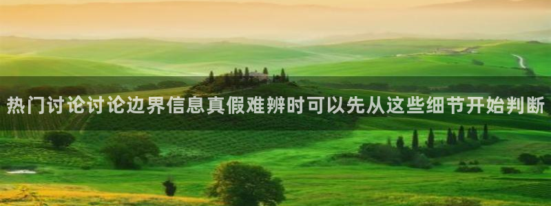 网络资讯动态