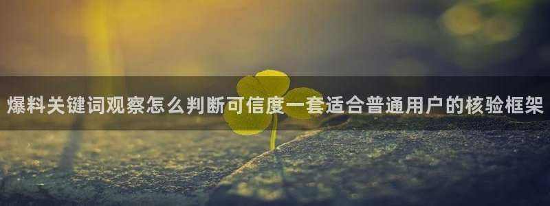 网络热点爆料网
