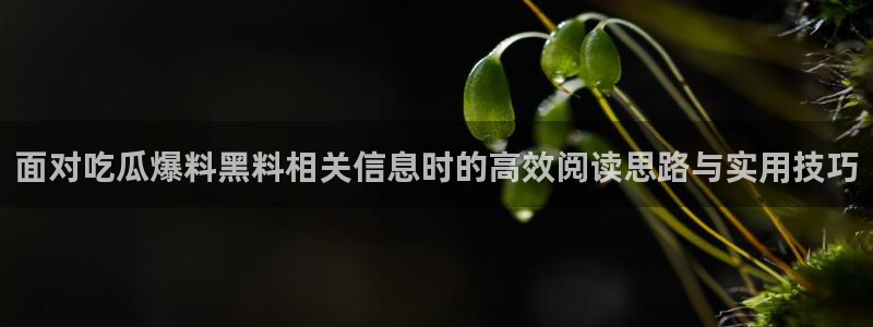 黑料爆料热点大全